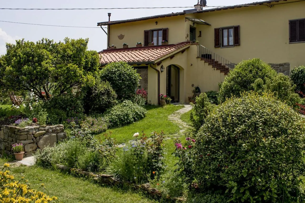 Villa Porcigliano Olive Grove Polcanto Italy