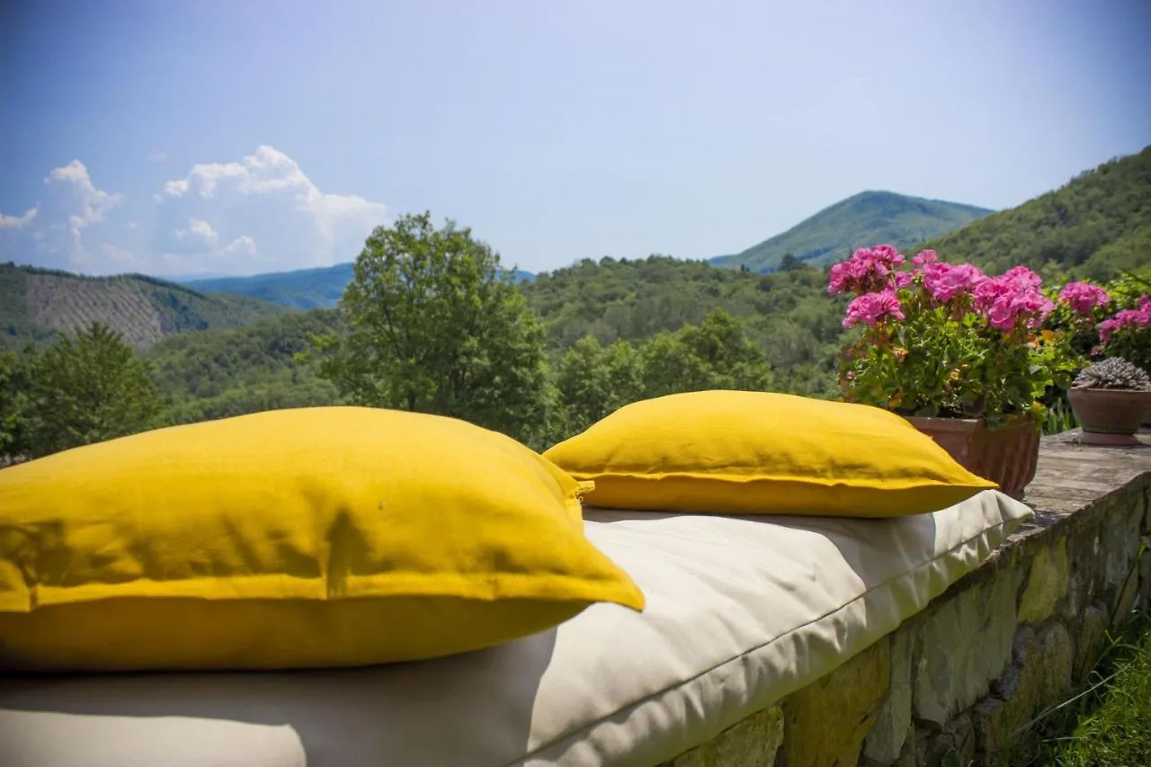 Villa Porcigliano Olive Grove Polcanto