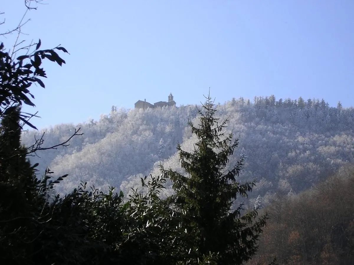 Villa Porcigliano Olive Grove Polcanto 0*,  Italy