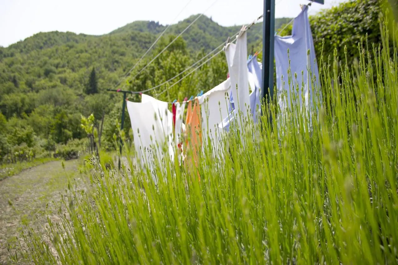 Holiday home Villa Porcigliano Olive Grove Polcanto