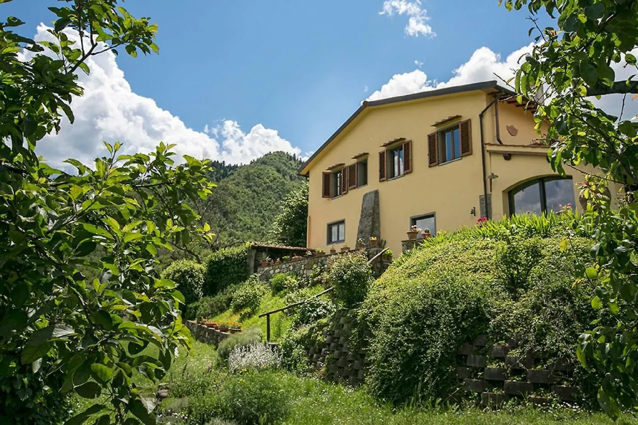 Villa Porcigliano Olive Grove Polcanto
