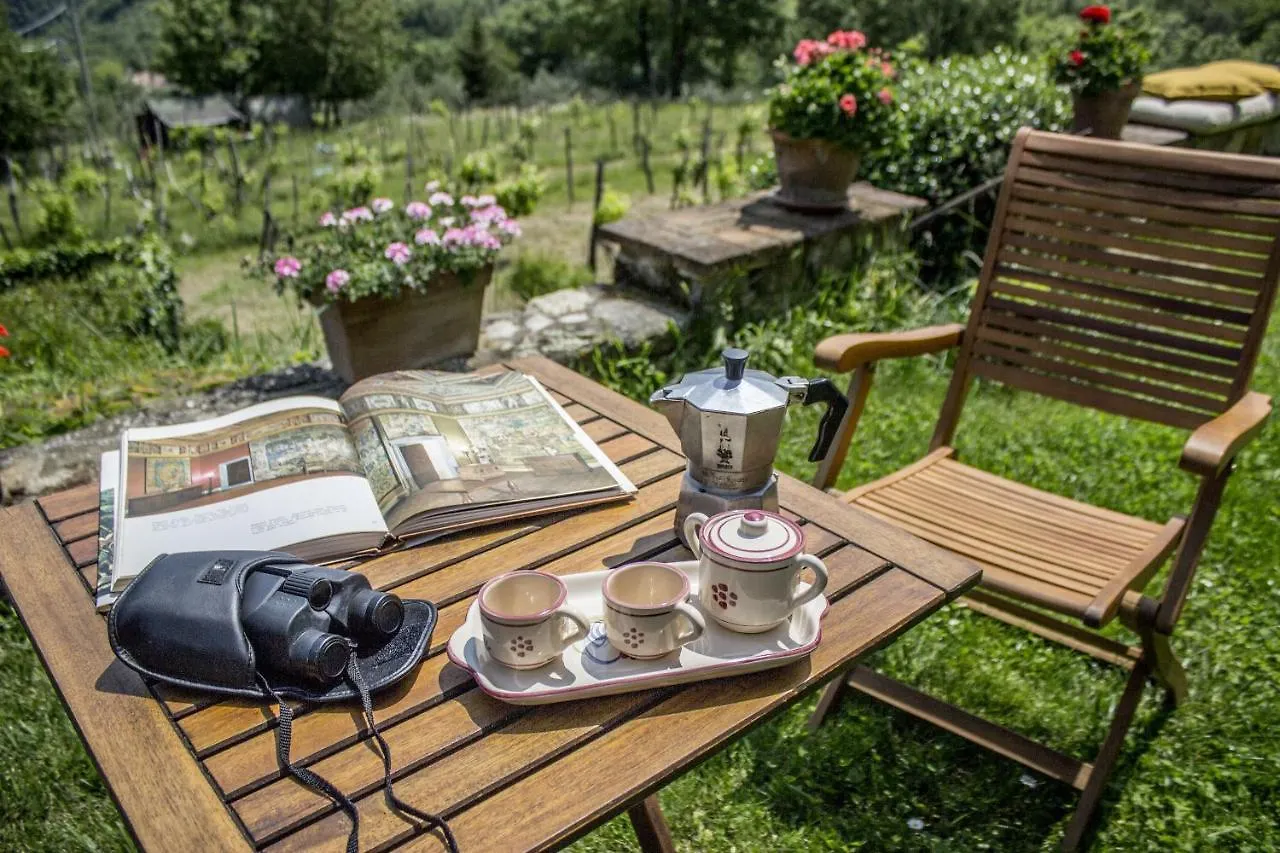 펜션 Villa Porcigliano Olive Grove Polcanto