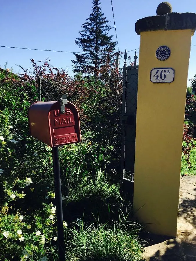 펜션 Villa Porcigliano Olive Grove Polcanto