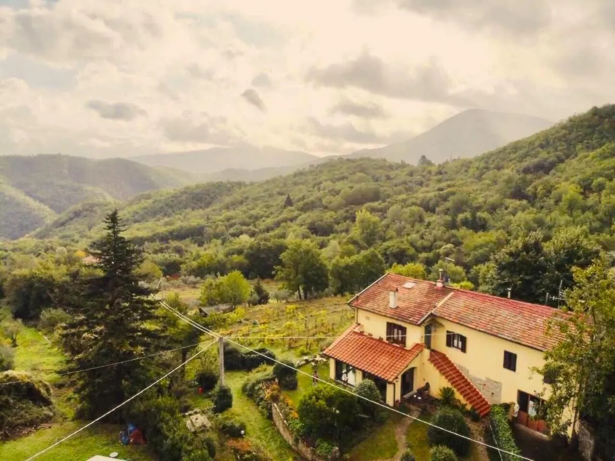 Villa Porcigliano Olive Grove Polcanto Prázdninový dům
