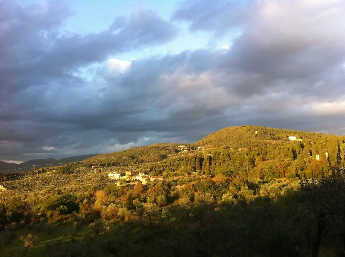 Villa Porcigliano Olive Grove Polcanto 0*,
